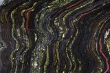 Polished Tiger Iron Stromatolite - ( Billion Years) #69778-1